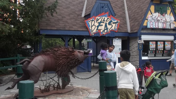 Canada's Wonderland Wild Beast