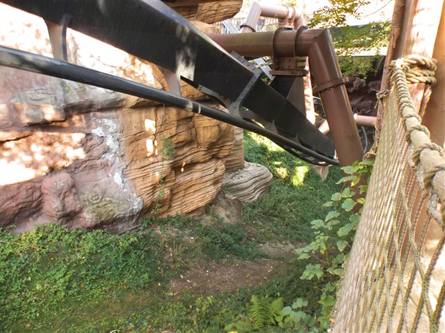 Phantasialand Black Mamba